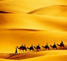 Sahara trips