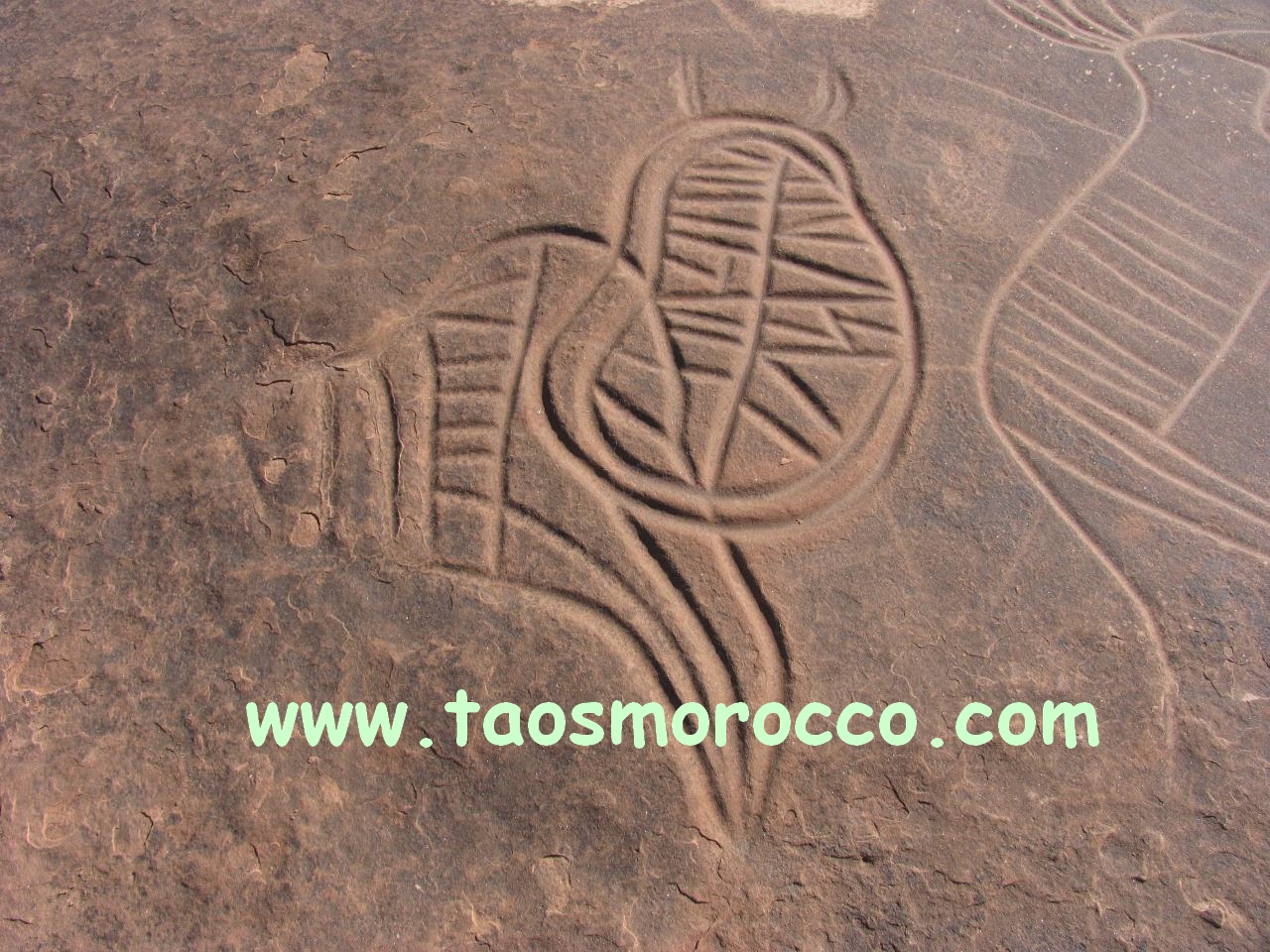 rock-carvings-Taos-south-Morocco